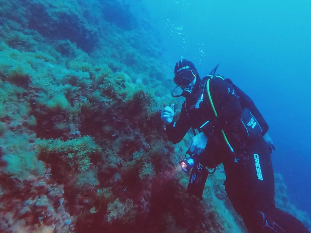 Plongeur explorant un tombant, lampe à la main, dans une eau bleue